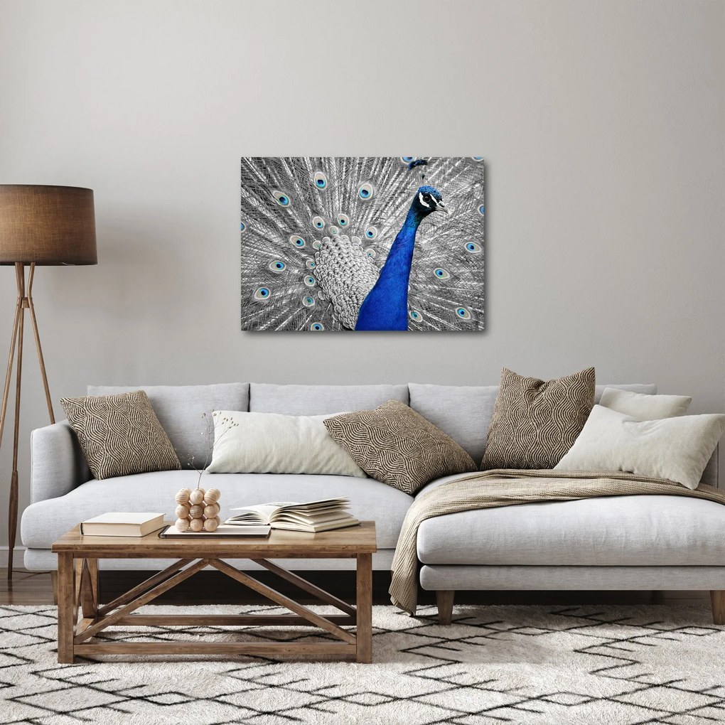Kék páva képe (70x50 cm)
