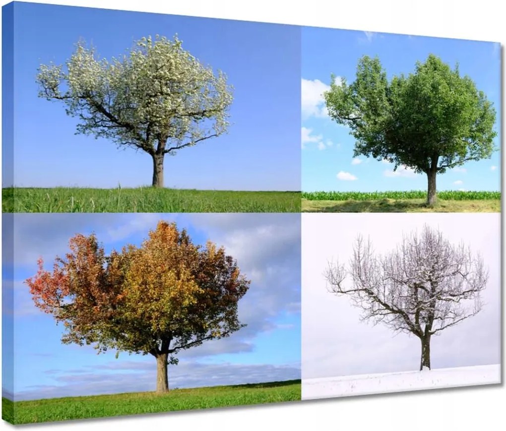 Vászonkép 40x30 Négy évszak Fa