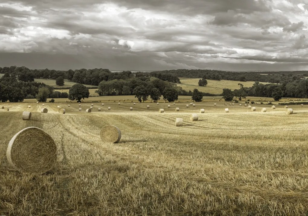 Poszter 100x70cm Szénakazalok a mezőkön 3, Assaf Frank