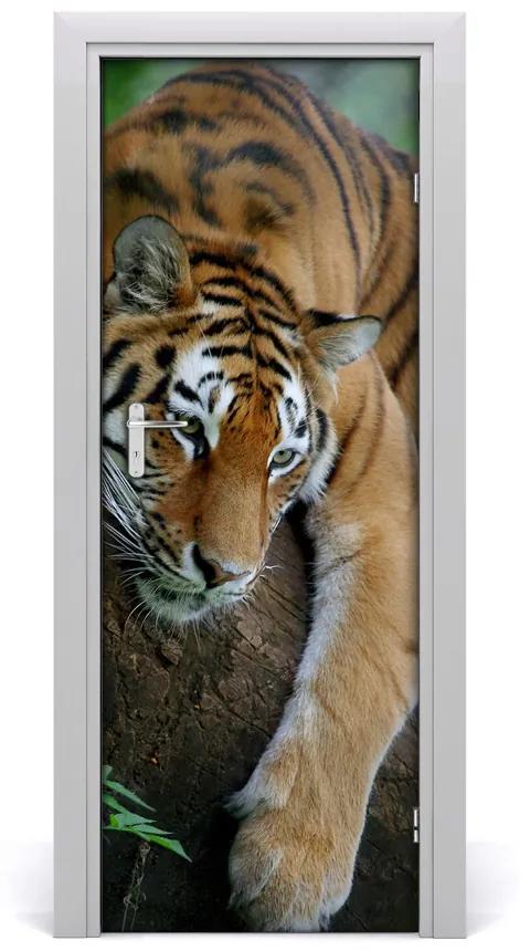 Ajtó méretű poszter Tiger a fán 85x205 cm