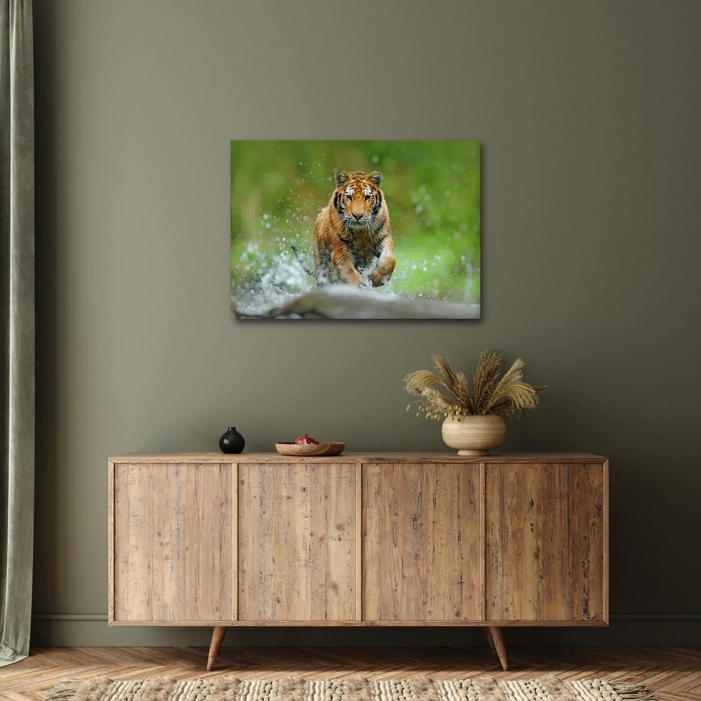 Kép - Futó tigris (70x50 cm)