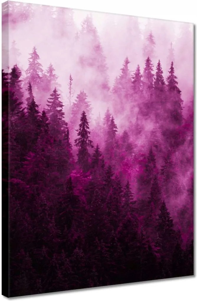 Vászonkép 30x40 Tájkép Rózsák Hegyek Köd