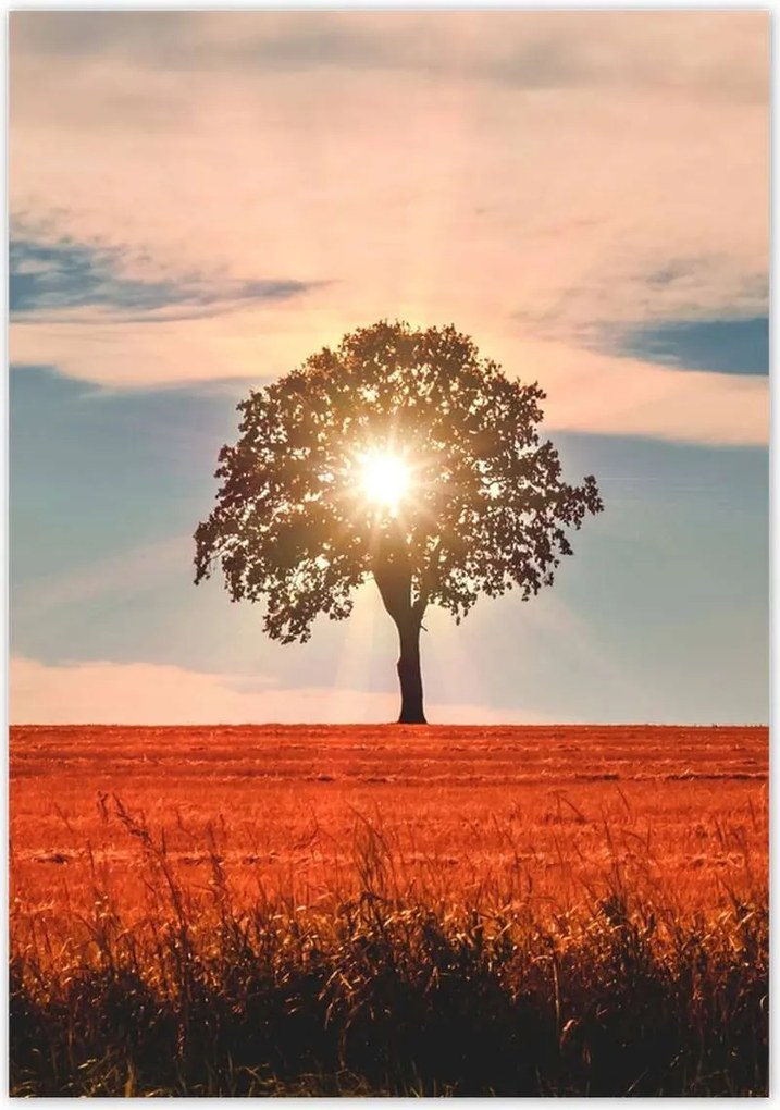 Poszterek 70x100 Kilátás Tájkép