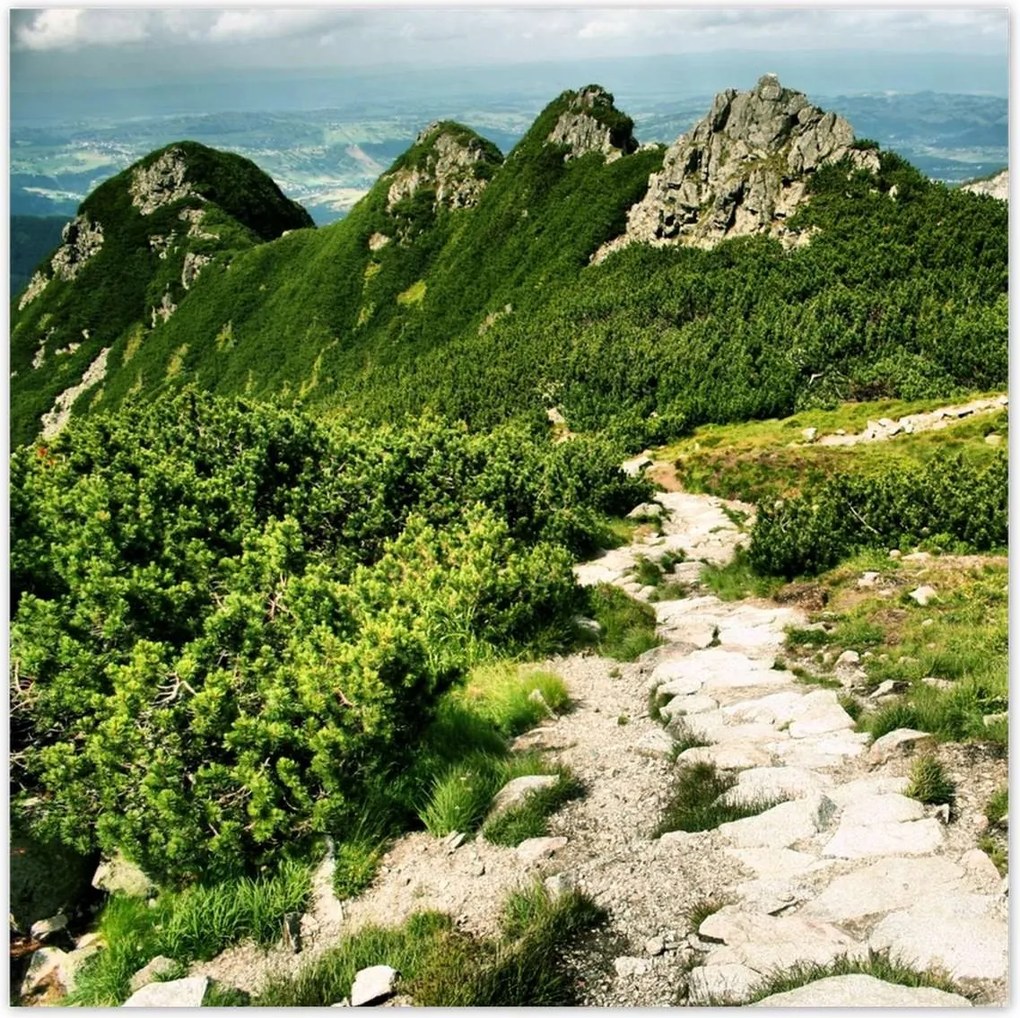 Poszterek 30x30 Tátra Lengyel hegyek Kilátás