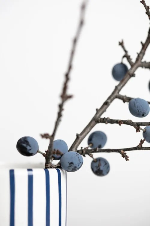 Fotográfia Berries Blue, Studio Collection