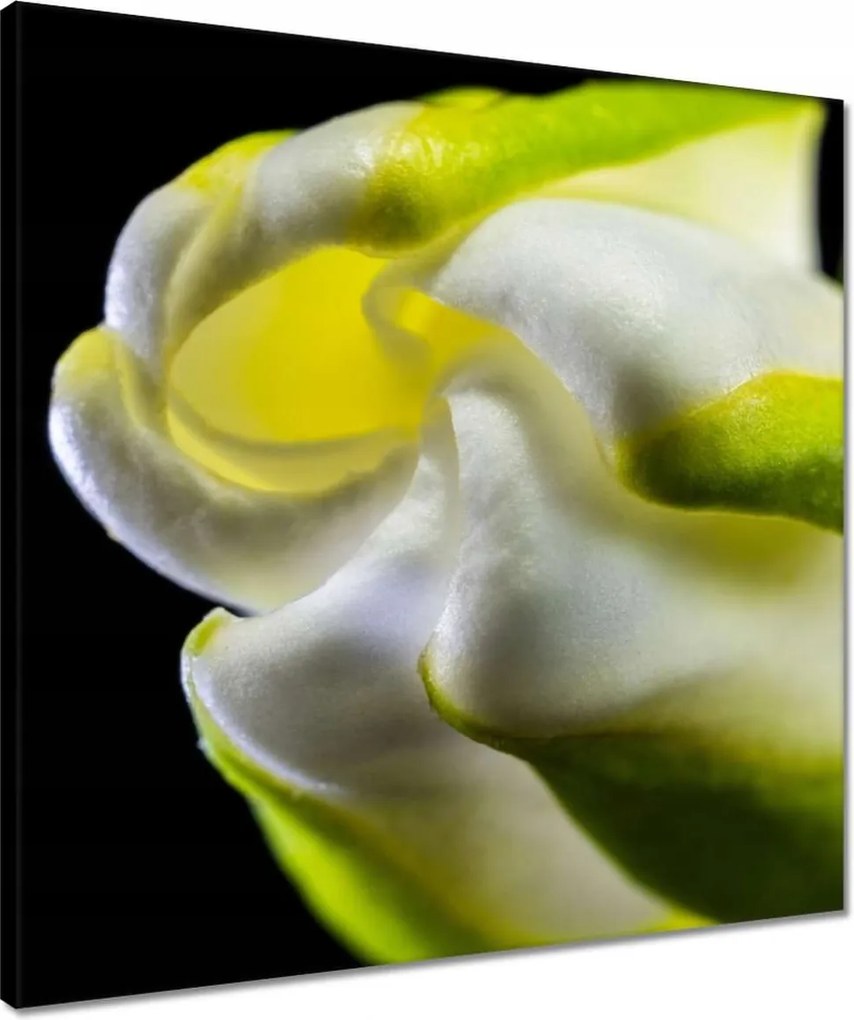 Vászonkép 50x50 Nőnap Ajándék Love