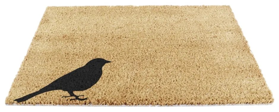 Kókuszrost lábtörlő 40x60 cm Bird – Artsy Doormats