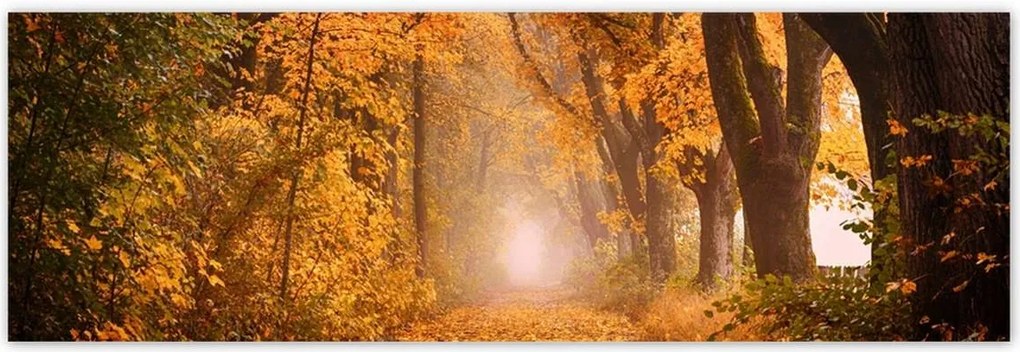 Poszterek 200x66 Őszi kilátás
