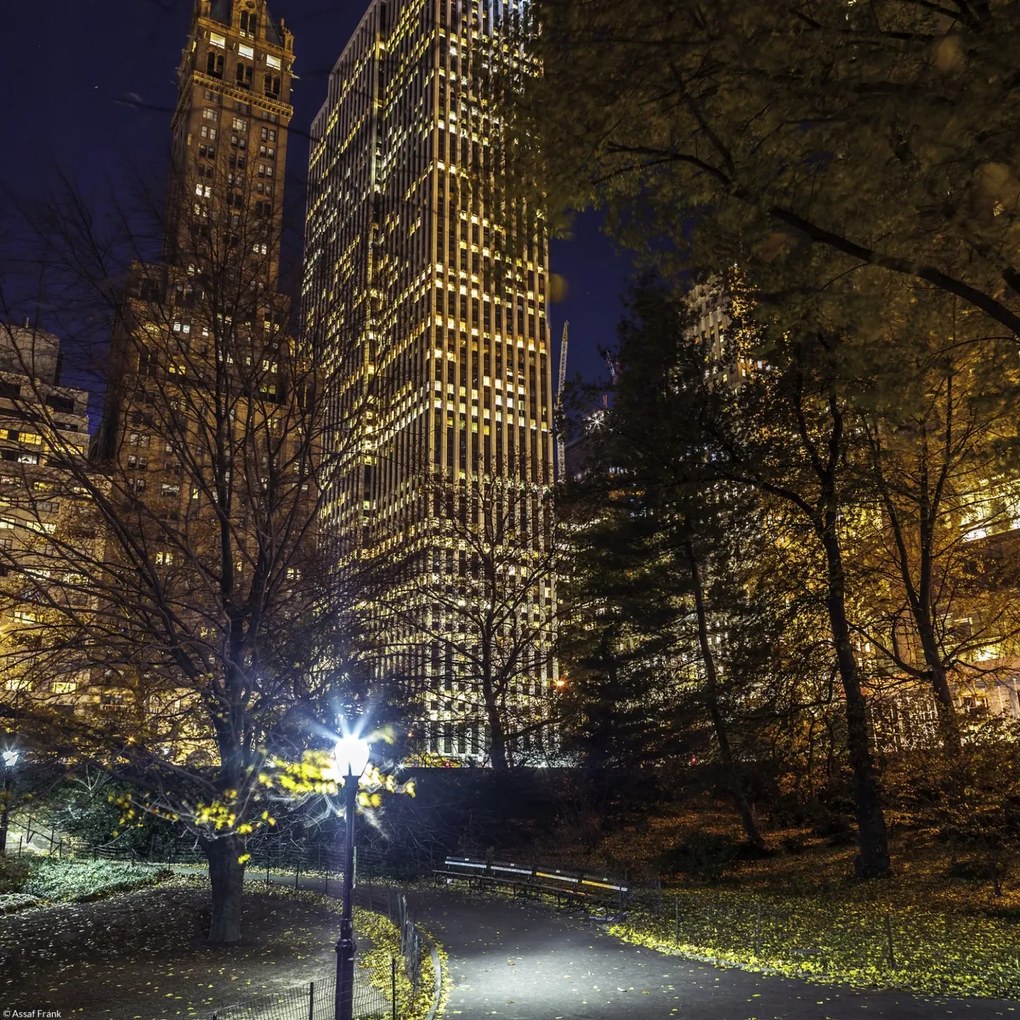 Poszter 30x30cm Esti kilátás a New York-i Central Parkra 6, Assaf Frank
