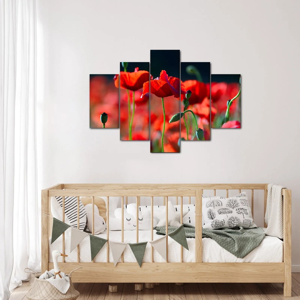 Kép - pipacsok (150x105 cm)