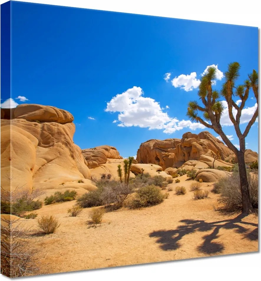 Vászonkép 40x40 Sivatagi táj