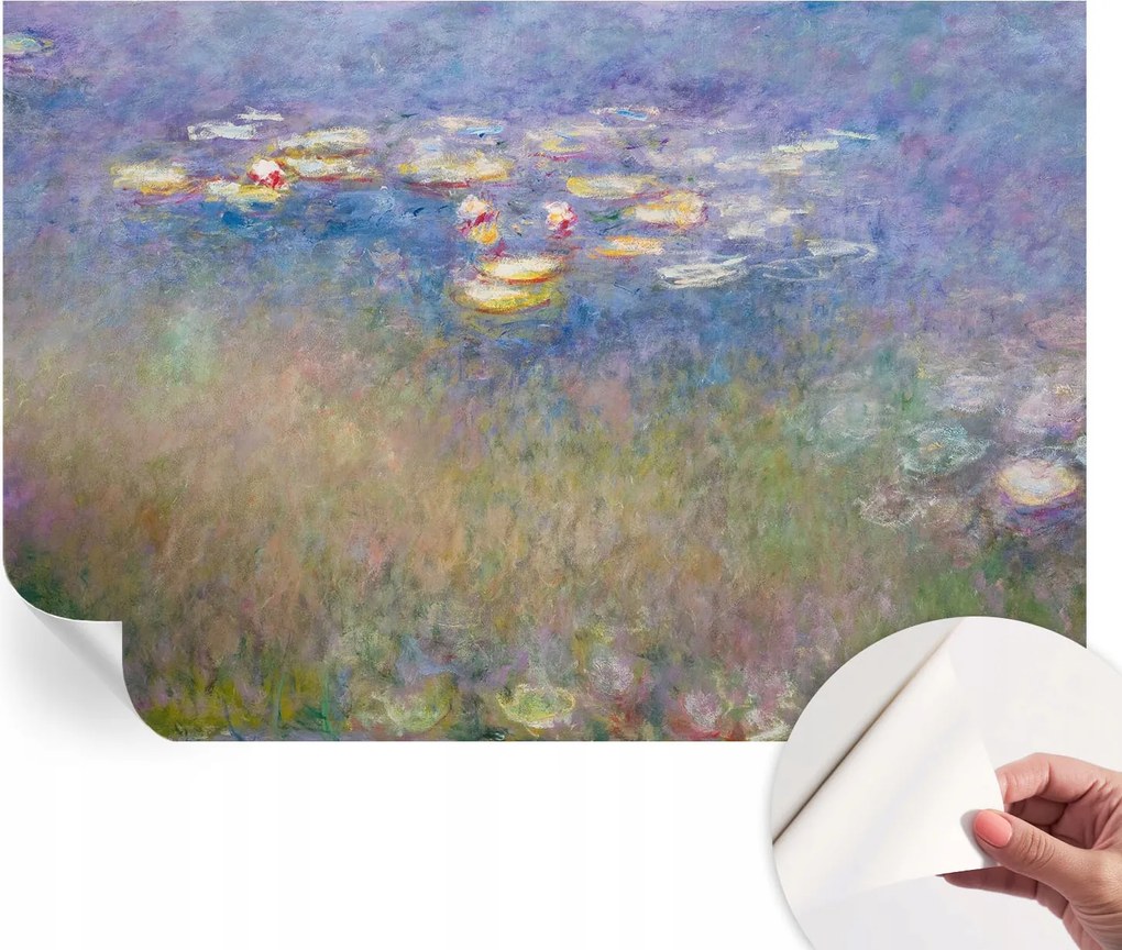 Öntapadós fotótapéta Nappaliba és Hálószobába Vízi liliomok 152x104 cm