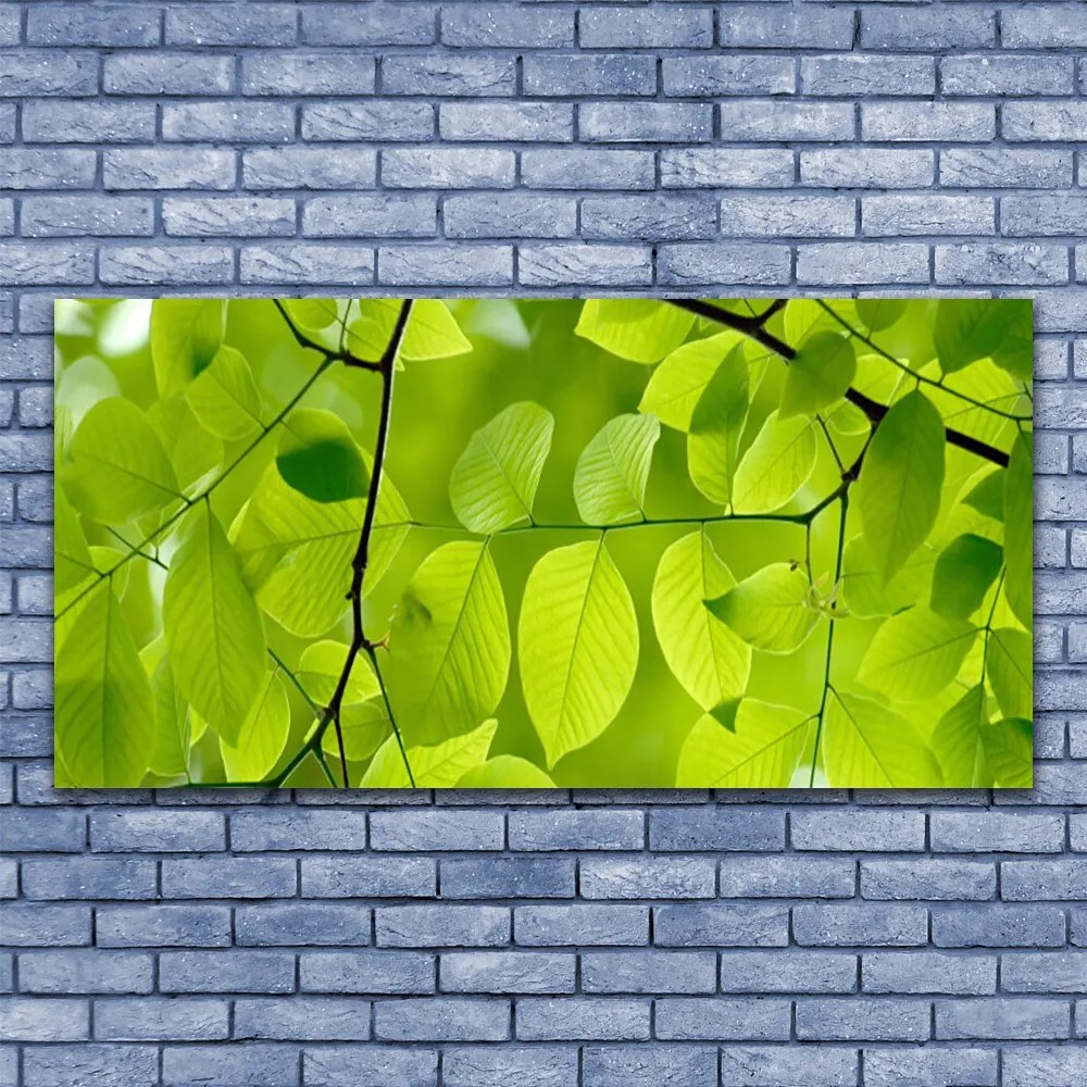 Vászonkép falra Elhagyja Plant 140x70 cm