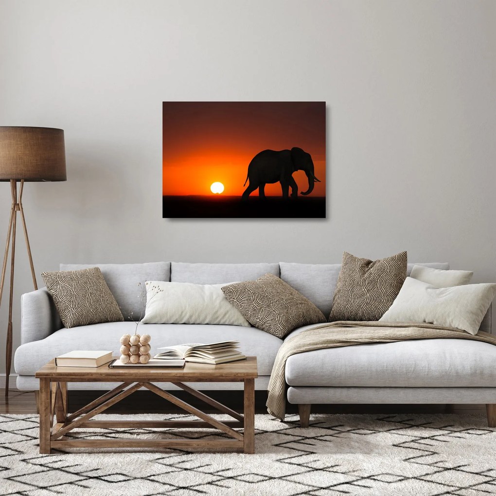 Elefánt képe naplementekor (üvegen) (70x50 cm)