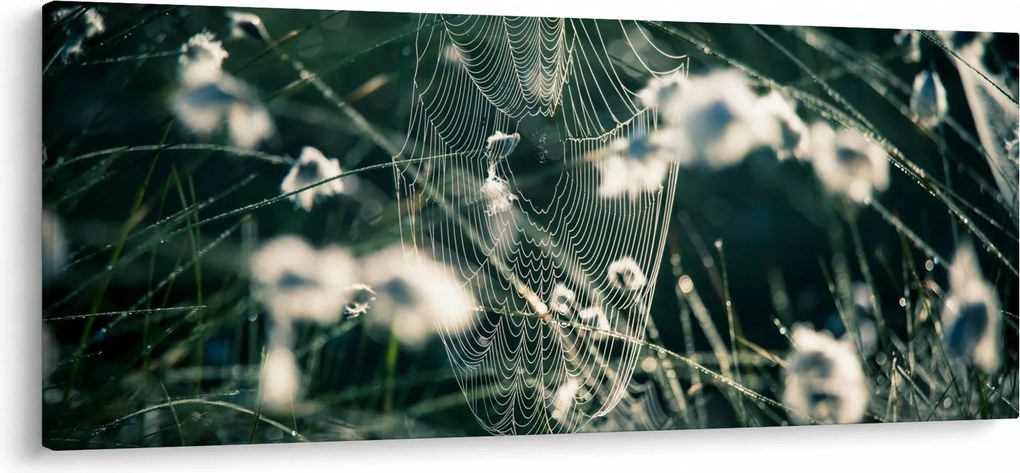 Kép - Pókháló (120x50 cm)