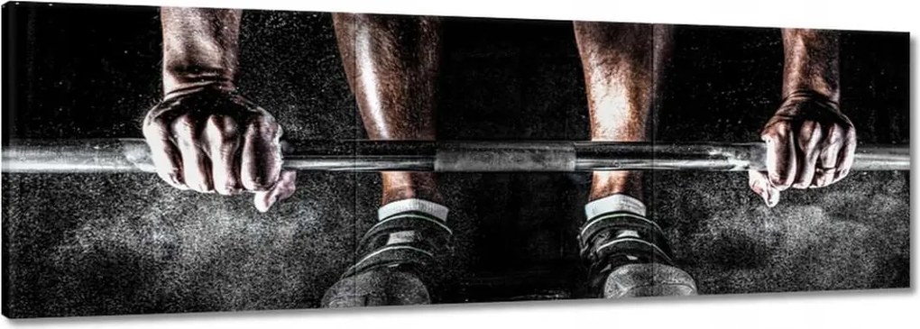 Vászonkép 90x30 Súlyzórúd