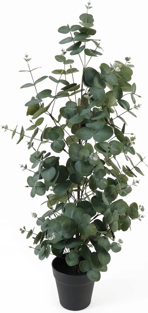 Művirág Cserépben Eukaliptusz Művirág Növény 78 cm