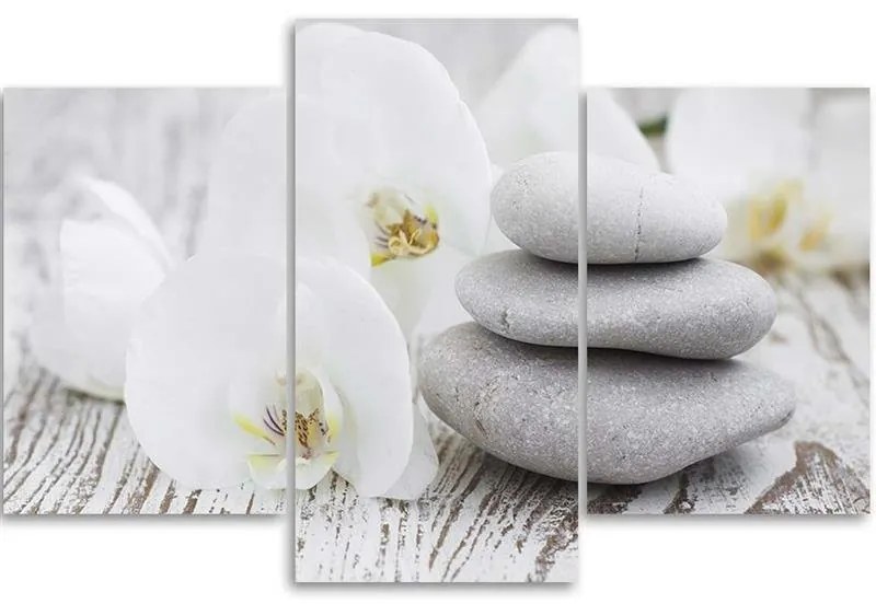 Gario Vászonkép Fehér orchidea és kövek - 3 részes Méret: 120 x 80 cm
