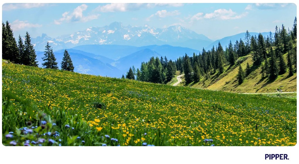 PIPPER. Öntapadós textiltapéta "Hegyi rét"