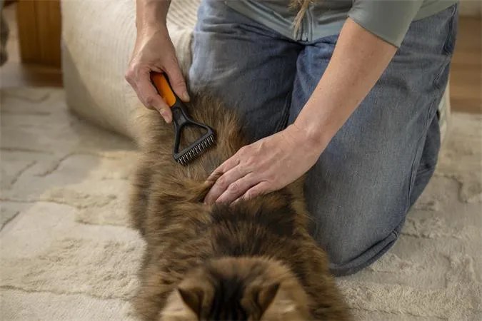 Kisállat fésú, gubancbontó, FISKARS PetCare (IF2009136)
