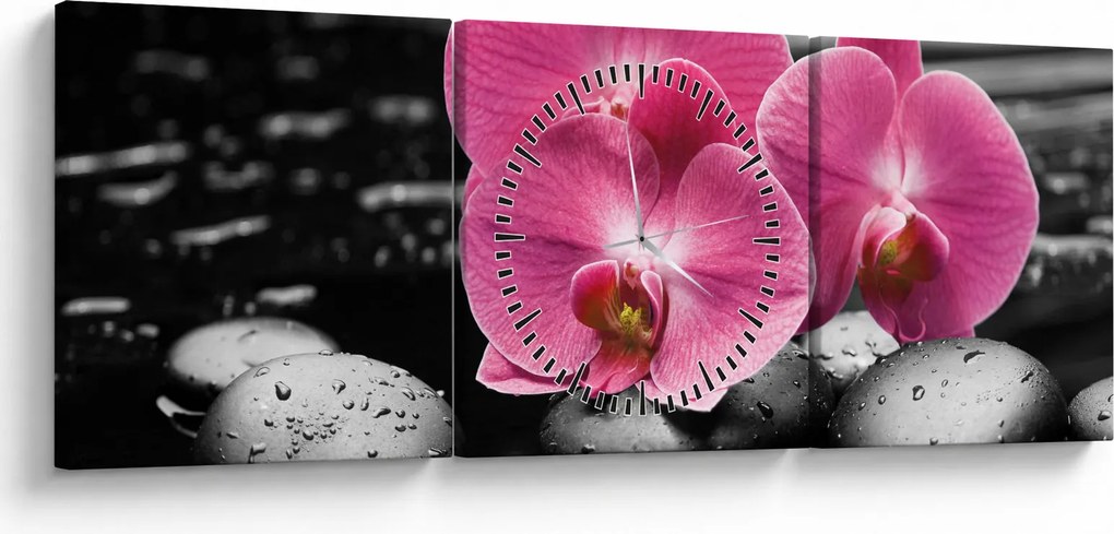 Kép - Rózsaszín orchideák (órával) (90x30 cm)