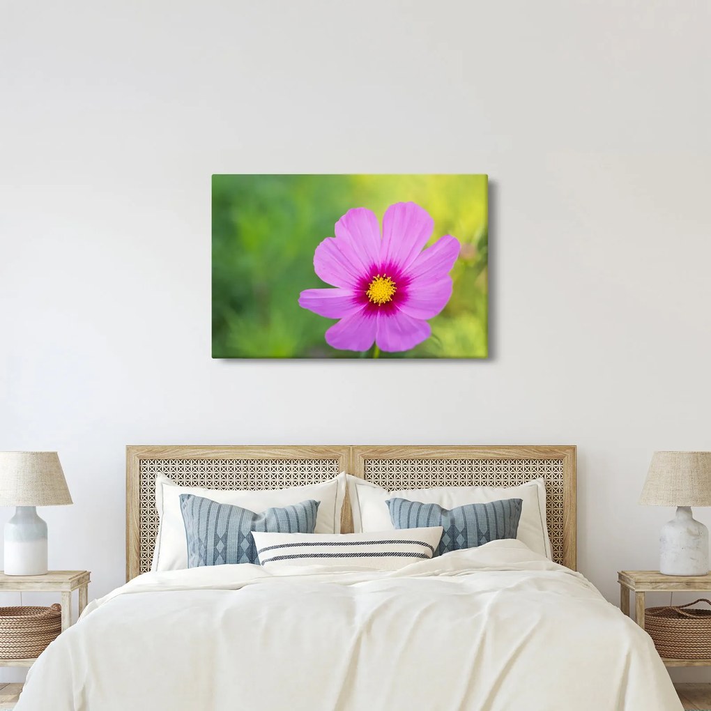 Kép - réti virág (90x60 cm)