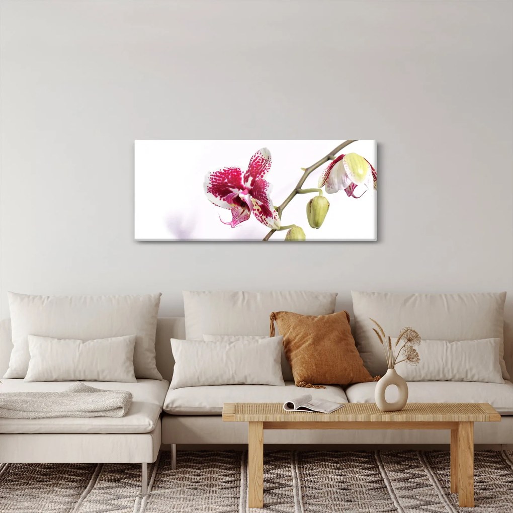 Orchidea virág képe (120x50 cm)