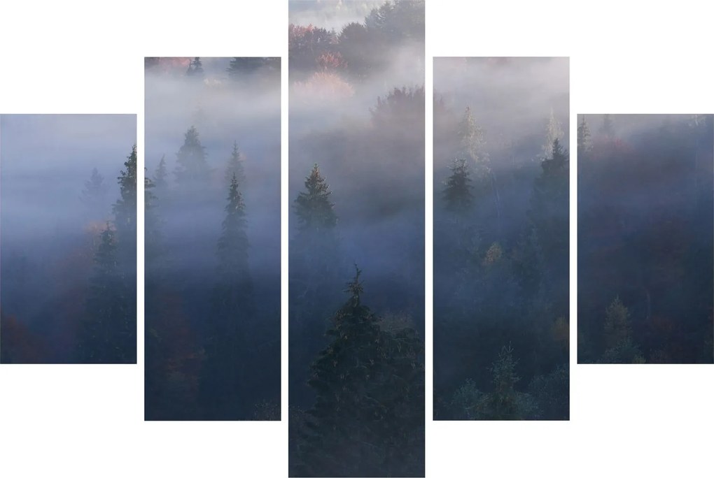 Kép - erdő a ködben, Carpathians, Ukraina (150x105 cm)