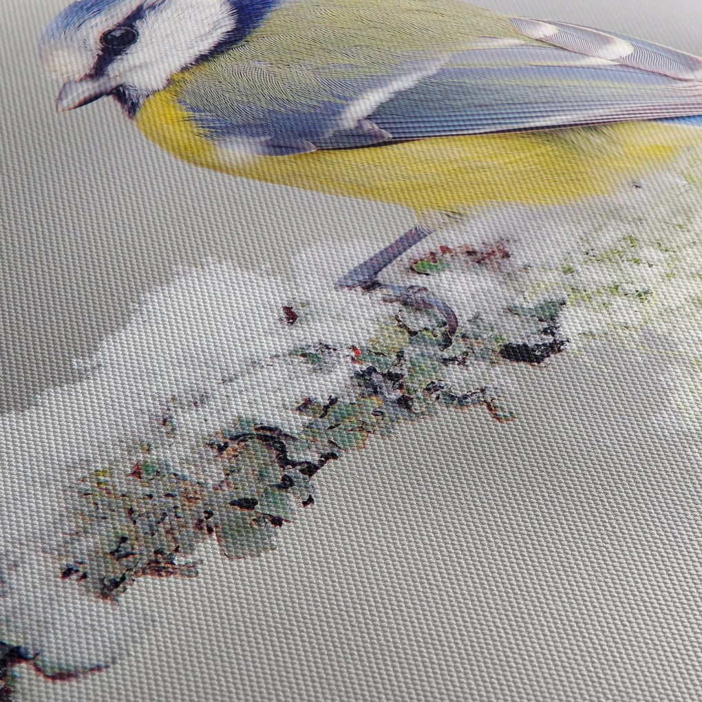 Kép - Cinege (120x50 cm)