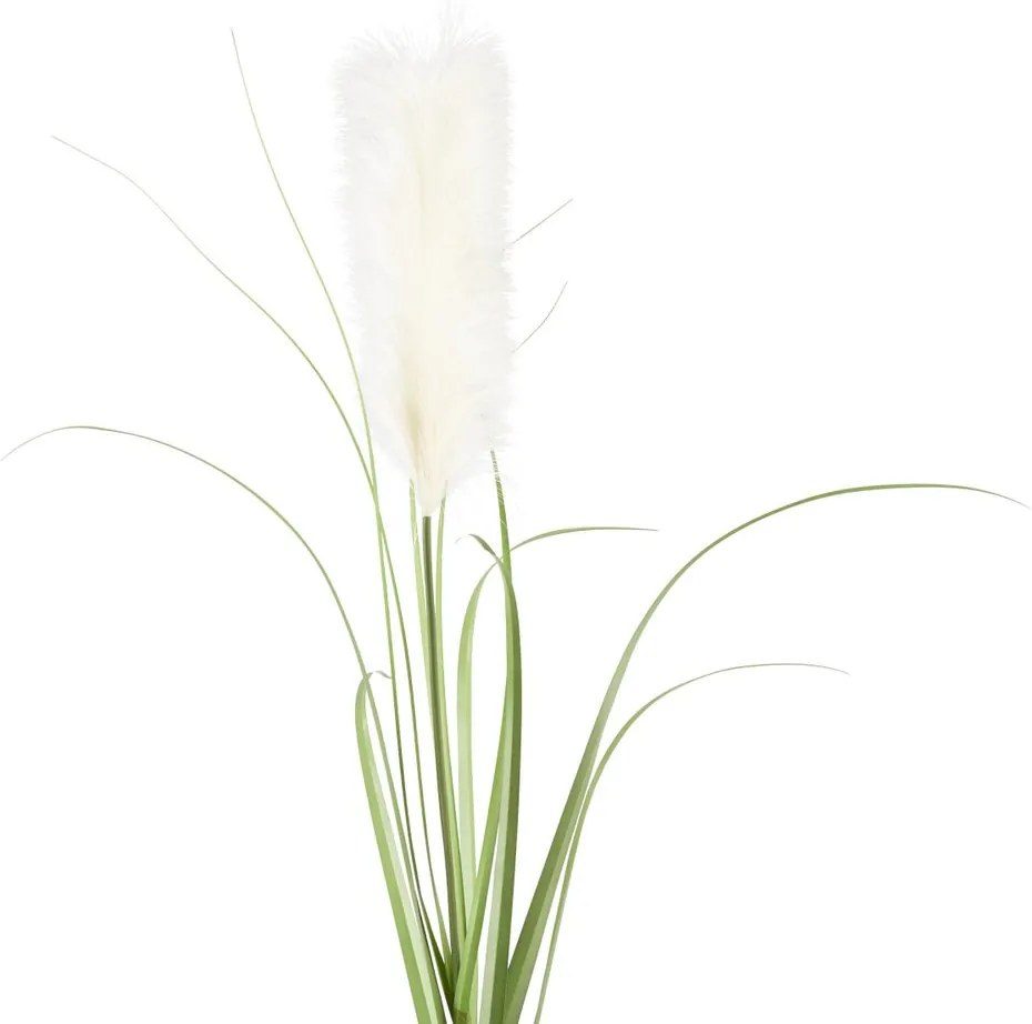 FLORISTA pampafű, krémszín 115 cm