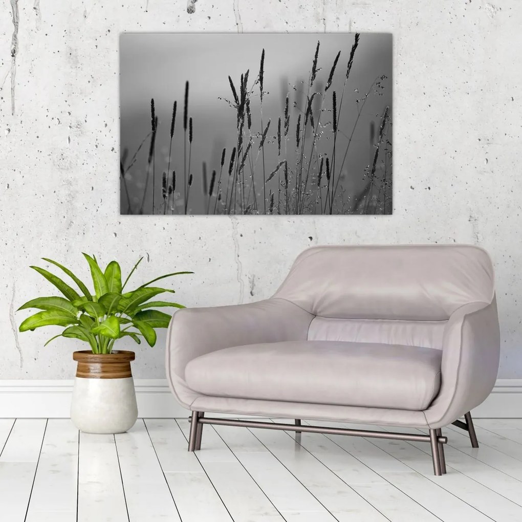 Kép - Fűszálak (90x60 cm)