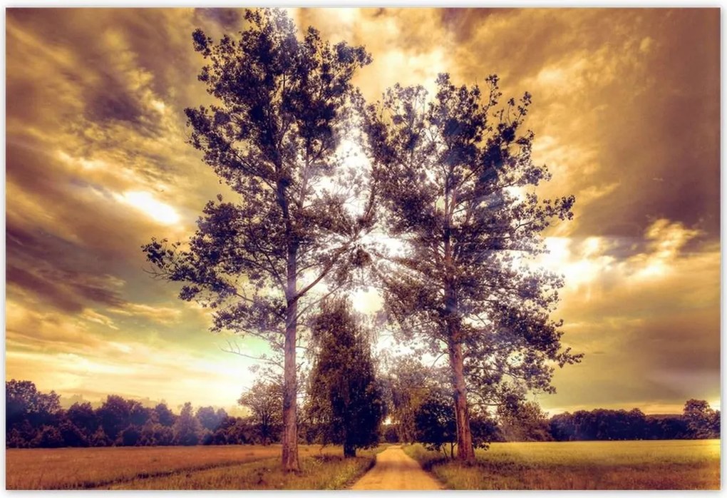 Poszterek 200x135 Vidéki tájkép úttal