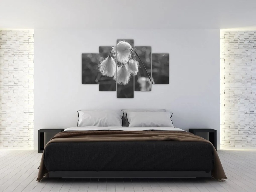 Kép - Cottongrass (150x105 cm)
