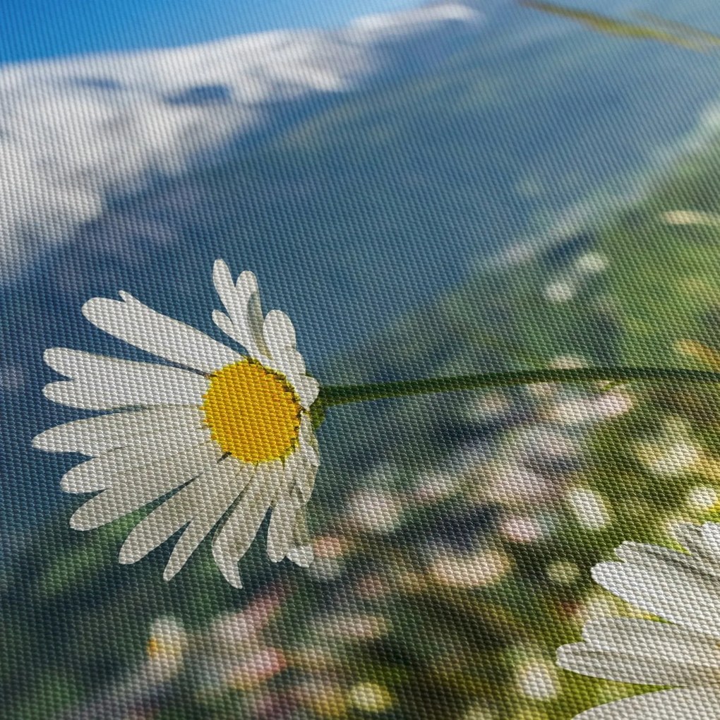 Kép - tavasz az Alpokban (órával) (90x30 cm)