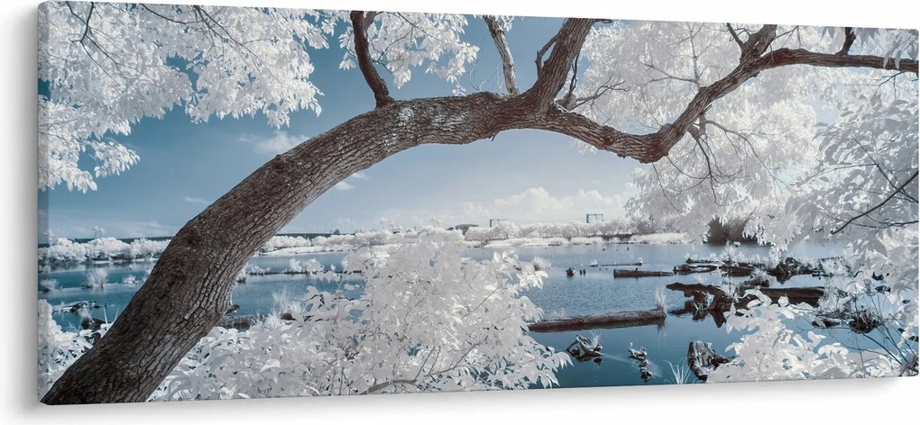 A víz mellett egy havas fa képe (120x50 cm)