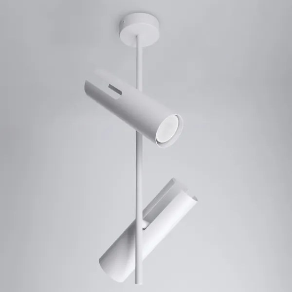Brilagi - LED RGBW dimmelhető rúdon függesztett csillár BRANCH 2xGU10/6,5W/230V fehér