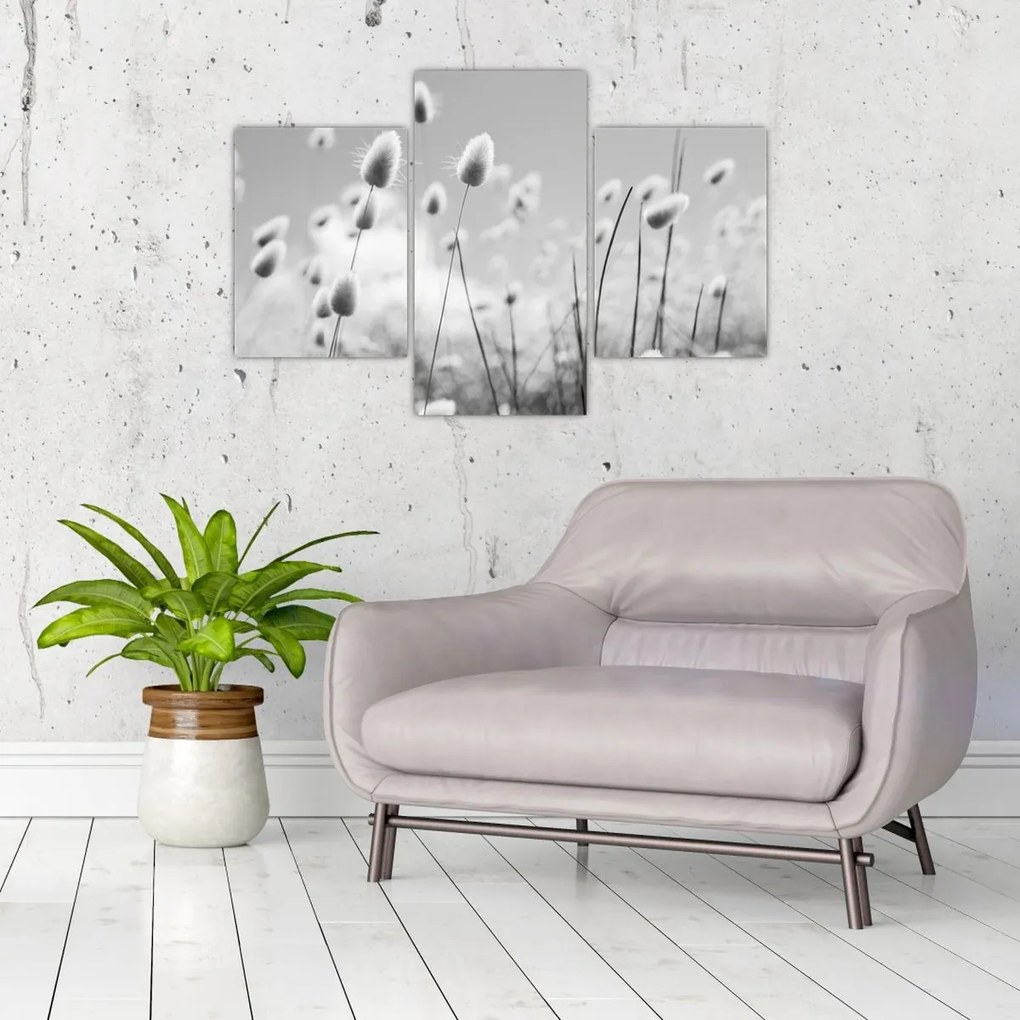 Kép - Boho nyuszi farok fű (90x60 cm)