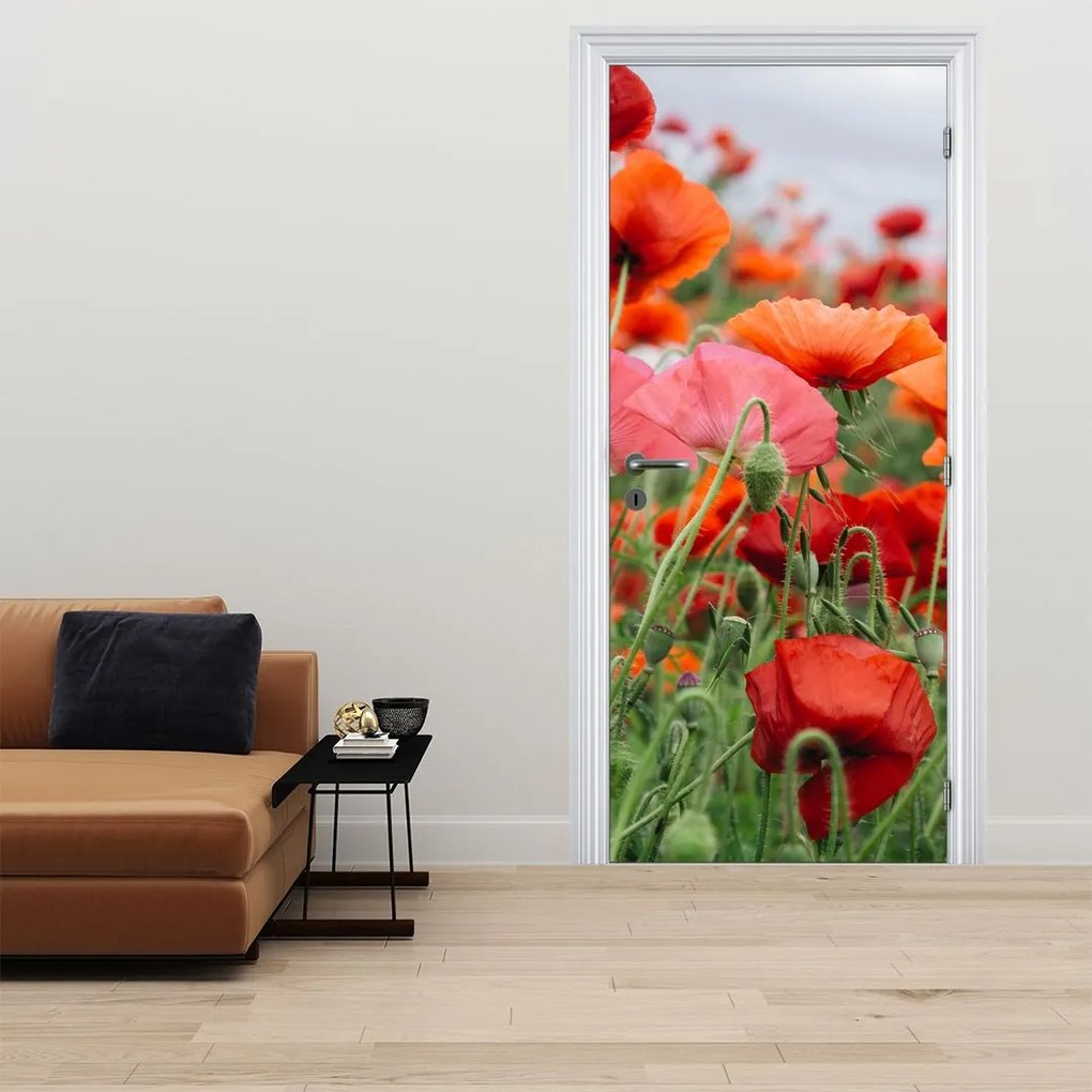 Fotótapéta ajtóra - Pipacsmező (95x205cm)
