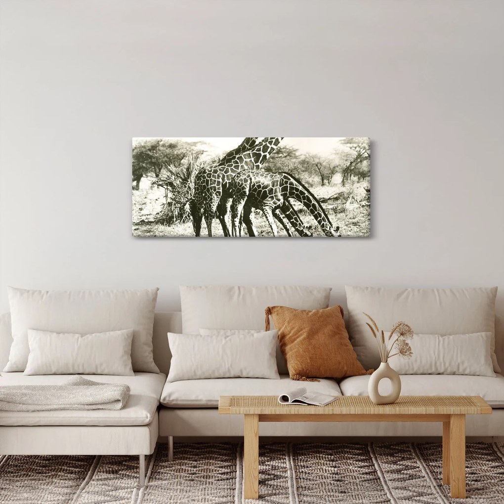 Kép - Zsiráfok, vintage (120x50 cm)
