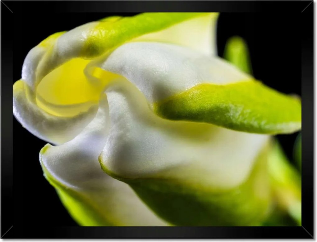 Poszterek keretben 40x30 Nőnap Ajándék Love