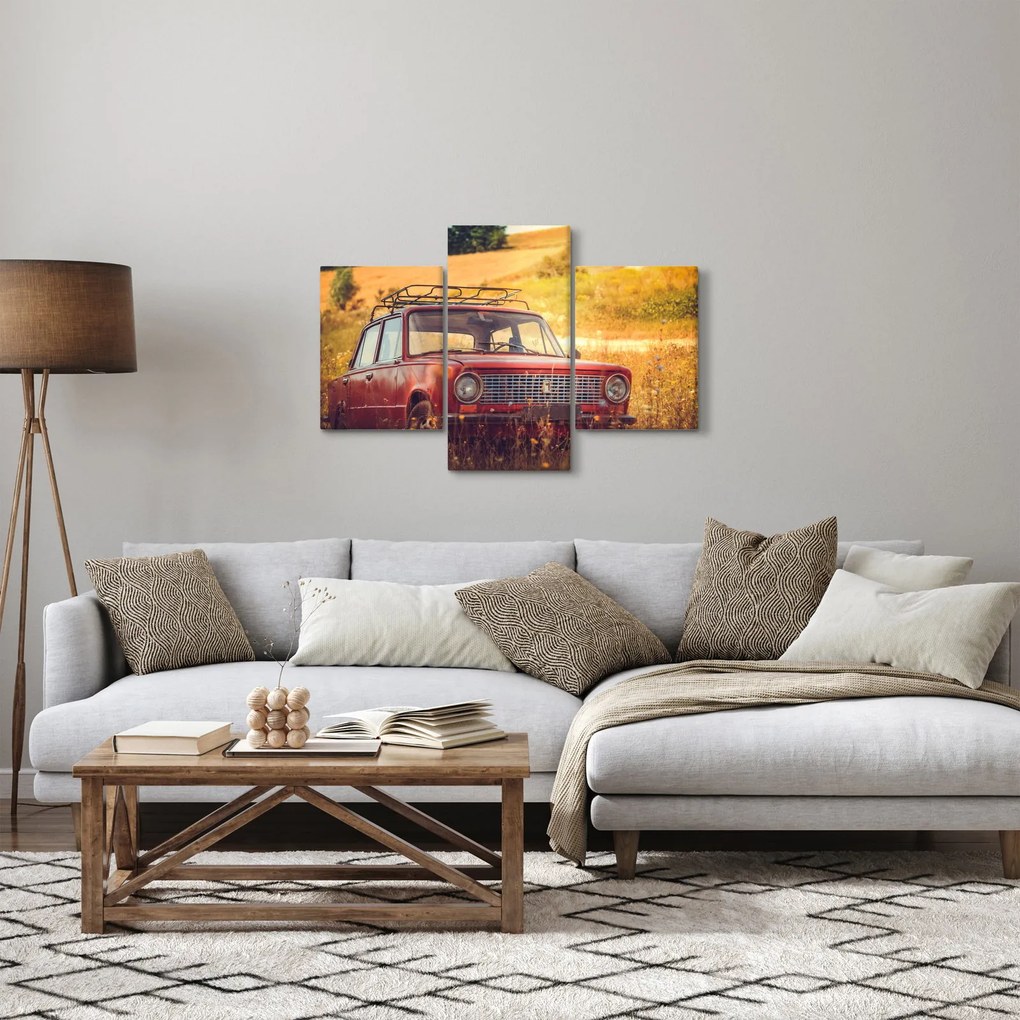 Autó a mezőben képe (90x60 cm)
