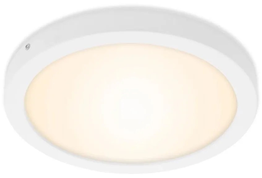 Briloner 7141-016 - LED Mennyezeti lámpa FIRE LED/21W/230V