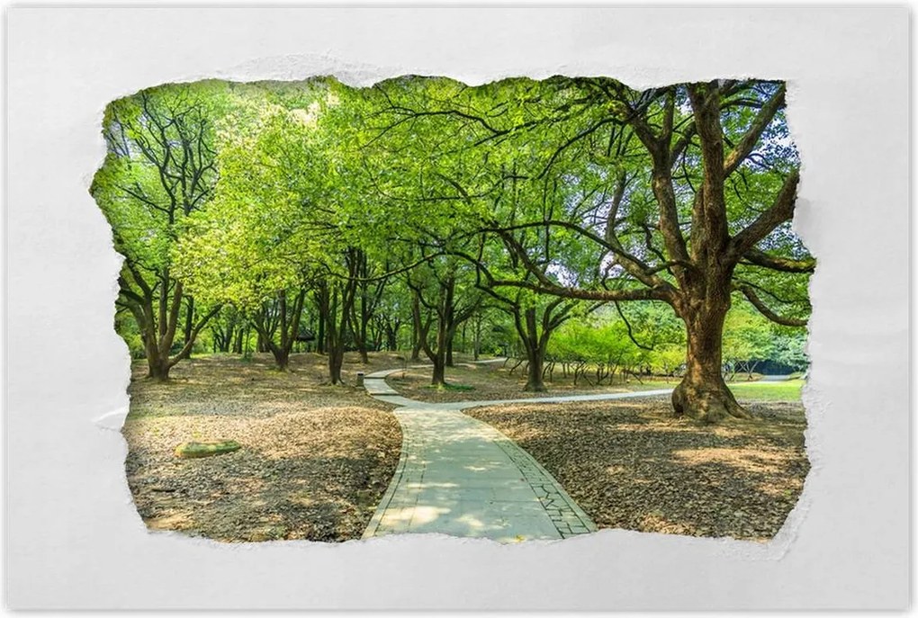 Poszterek 60x40 Zöld park úttal