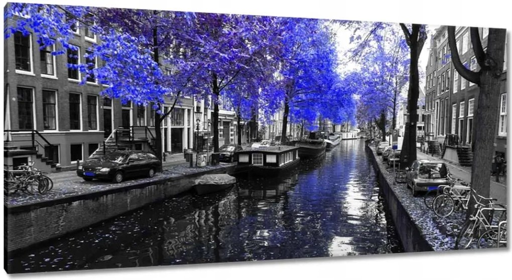 Festmények 115x55 Búzavirág Amszterdam