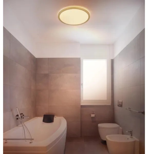 Globo 41562-18MM - LED Dimmelhető mennyezeti lámpa SAPANA LED/18W/230V IP44