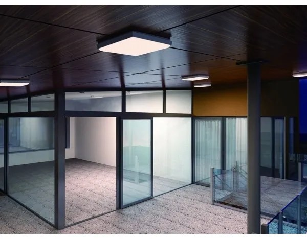 LED2 - LED Kültéri mennyezeti lámpa QUADO LED/10W/230V antracit IP54