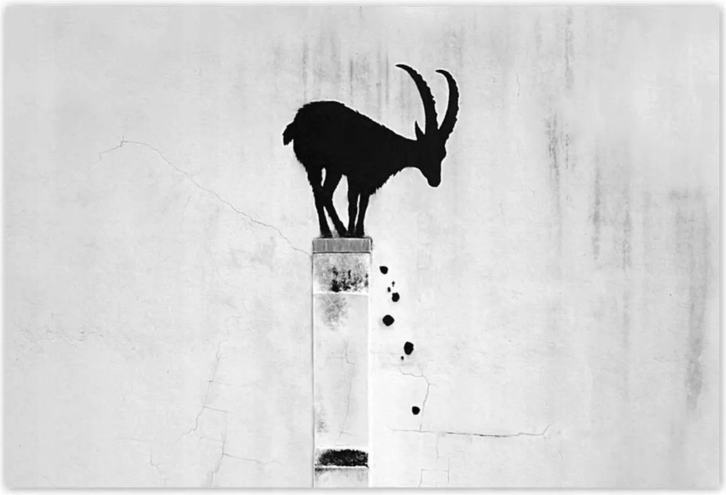 Fotótapéták 104x70 Kozica Banksy Hegyi gazella Nincs magánélet Falfestmény