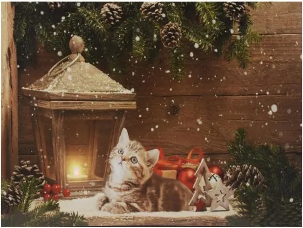 Fali kép Macska egy lámpa előtt  30 x 40 cm