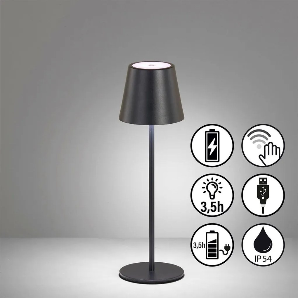 FISHER&HONSEL 850355 VILETTO Kültéri Dekorációs Lámpa LED IP54