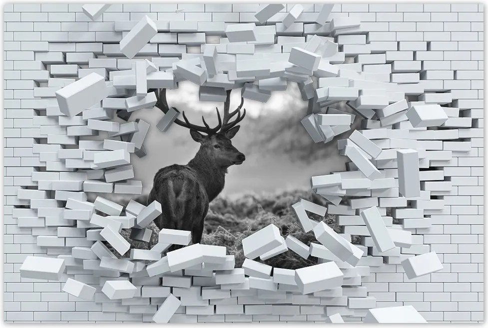 Poszterek 60x40 Szarvas a rikkancson